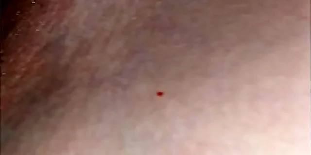 asian,cage,femdom,fingering,indian,pussy,pussy licking,slut,tight,wet