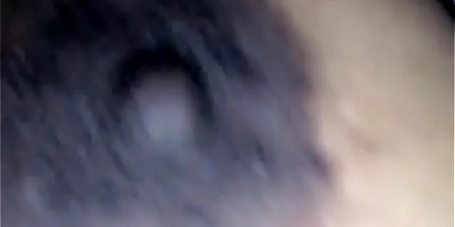 big tits,boobs,exotic,indian