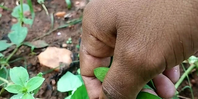 amateur,blowjob,exclusive,masturbating,tamil,verified